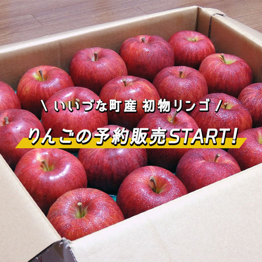 りんごの予約販売スタートしました!