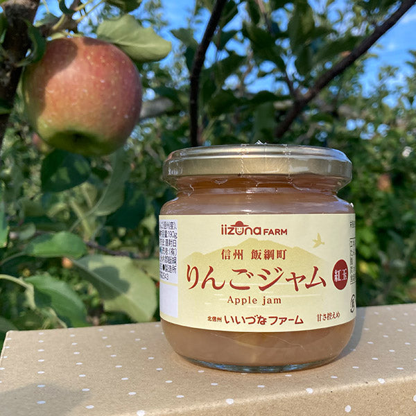 激安 超特価商店街  シャキシャキとみずみずしい 北信州高山村、飯綱町のりんご 果物