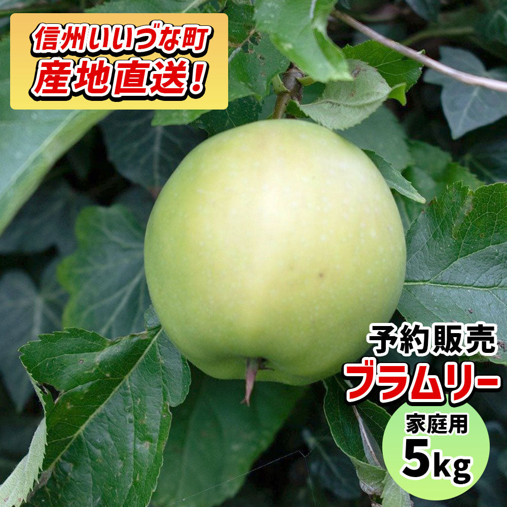 【りんご】 ブラムリー 5kg 予約販売 9月上旬以降順次発送 送料込 長野県 飯綱町 家庭用 訳あり みつどんマルシェ