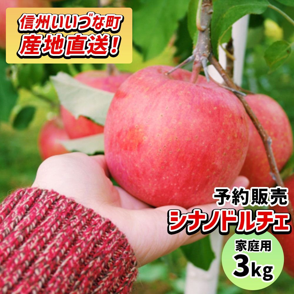 【りんご】 シナノドルチェ 3kg 予約販売 9月中旬以降順次発送 送料込 長野県 飯綱町 家庭用 訳あり みつどんマルシェ