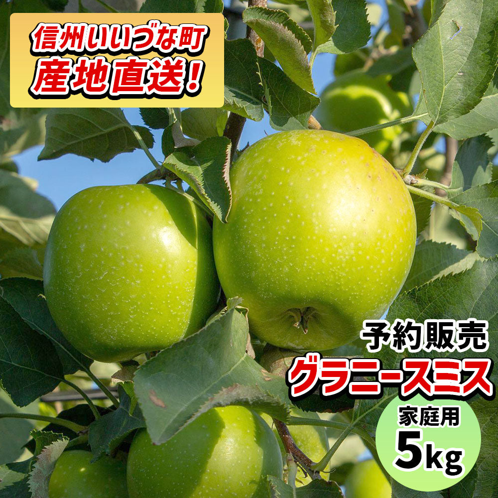 【りんご】 グラニースミス 5kg 予約販売 11月下旬以降順次発送 送料込 長野県 飯綱町 家庭用 訳あり みつどんマルシェ