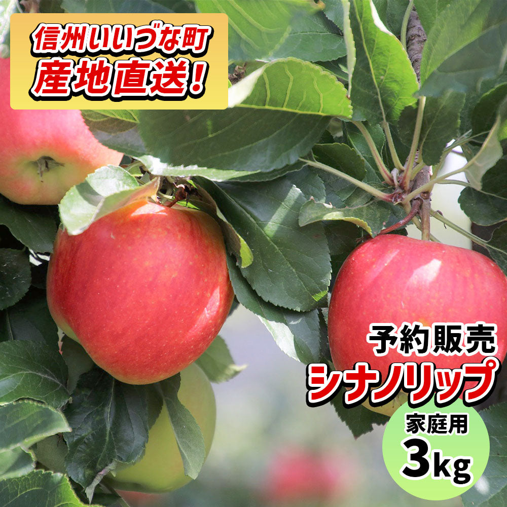 【りんご】 シナノリップ 3kg 予約販売 8月下旬以降順次発送 送料込 長野県 飯綱町 家庭用 訳あり みつどんマルシェ