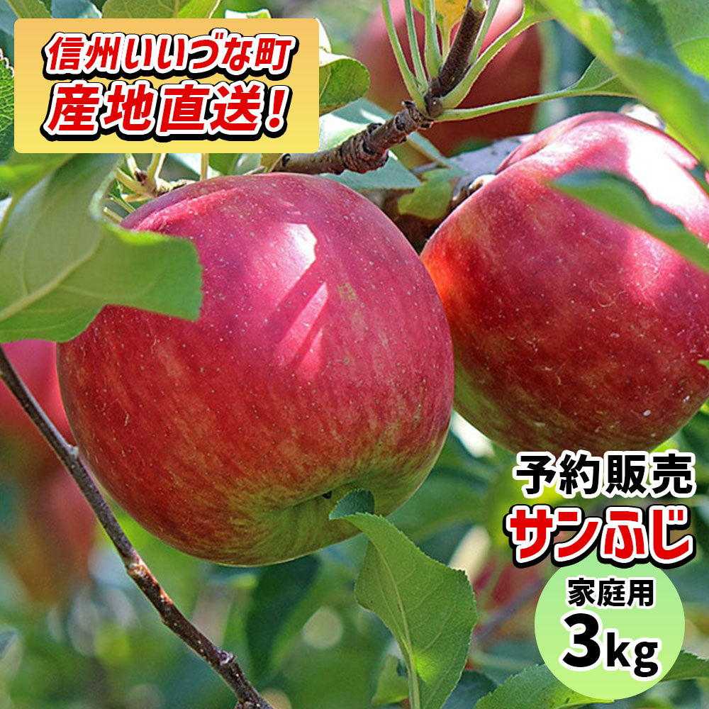 【りんご】 サンふじ 3kg 予約販売 令和7年12月上旬以降順次発送 送料込 長野県 飯綱町 家庭用 訳あり みつどんマルシェ