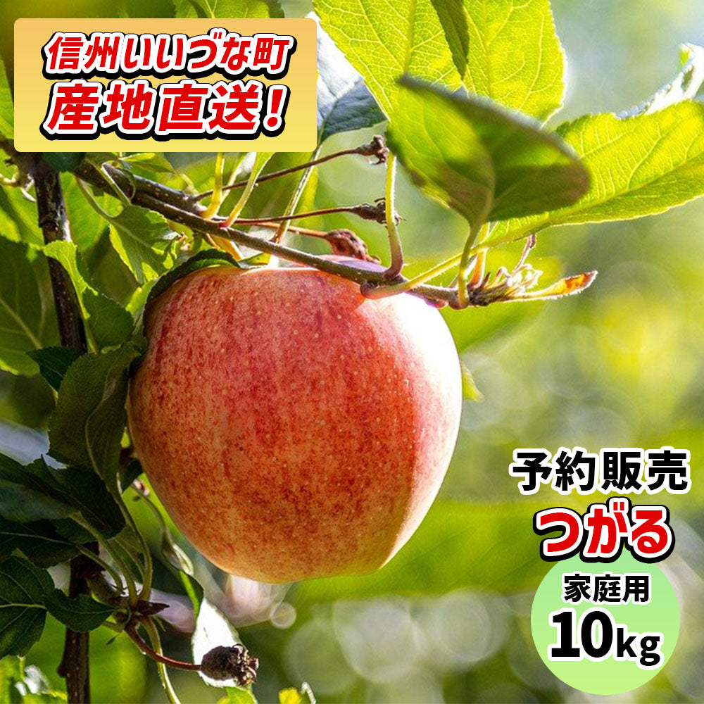 【りんご】 つがる 10kg 予約販売 9月上旬以降順次発送 送料込 長野県 飯綱町 家庭用 訳あり みつどんマルシェ