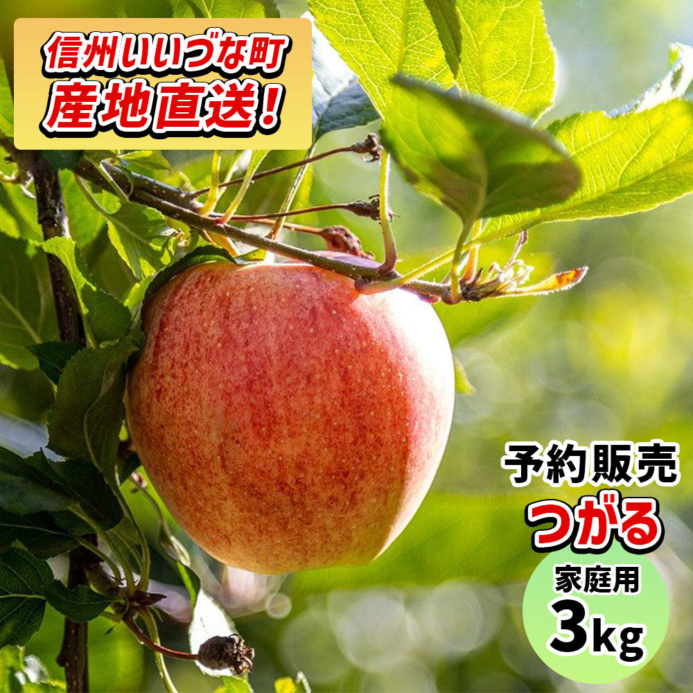 【りんご】 つがる 3kg 予約販売 9月上旬以降順次発送 送料込 長野県 飯綱町 家庭用 訳あり みつどんマルシェ