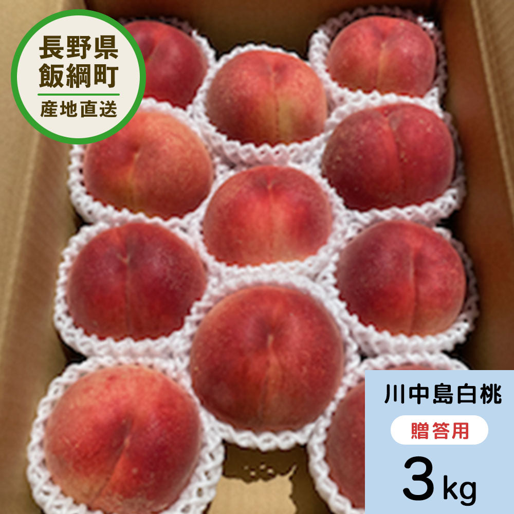 【もも】トオルファーム 桃 川中島白桃 3kg 予約販売 8月下旬以降順次発送 クール便 長野県 飯綱町 贈答用 みつどんマルシェ n1-2023momo-z3