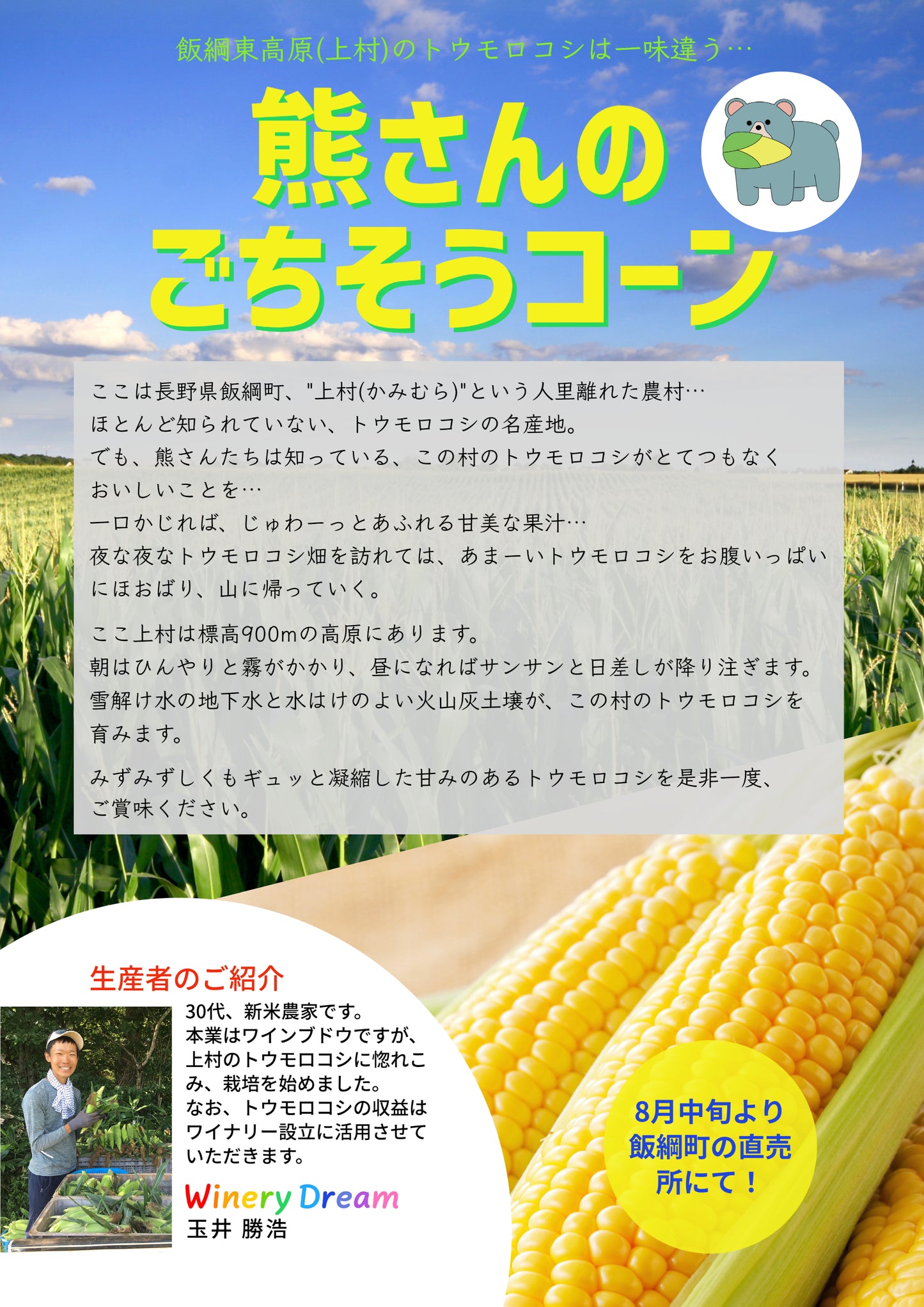 【とうもろこし】 朝採り トウモロコシ 熊さんのごちそうコーン 9本 ~ 12本 品種はおまかせ 予約販売 8月下旬以降順次発送 配送先は本州限定 長野県 飯綱町 とうもろこし コーン 野菜 みつどんマルシェ n6-2023corn-k9-12