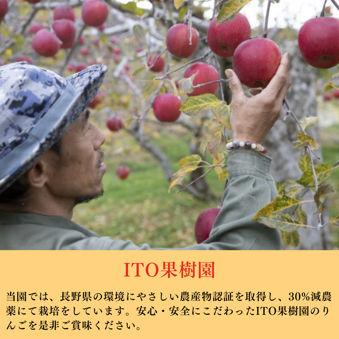 【りんごジュース】 シナノスイート 720ml りんごジュース 1本 ストレート ITO果樹園 長野県 飯綱町 みつどんマルシェ