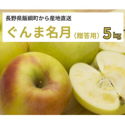 【りんご】 ぐんま名月 5kg  贈答用 11月上旬以降順次発送 長野県 飯綱町 みつどんマルシェ