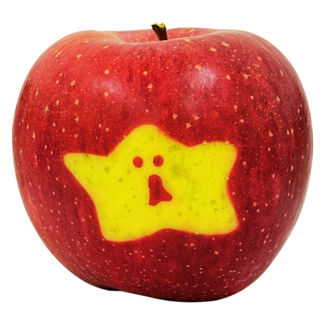 【りんご】 ふじ 2kg 贈答用 送料無料 みつどん絵文字入りりんご1個付き 長野県飯綱町産 個数おまかせ みつどんマルシェ