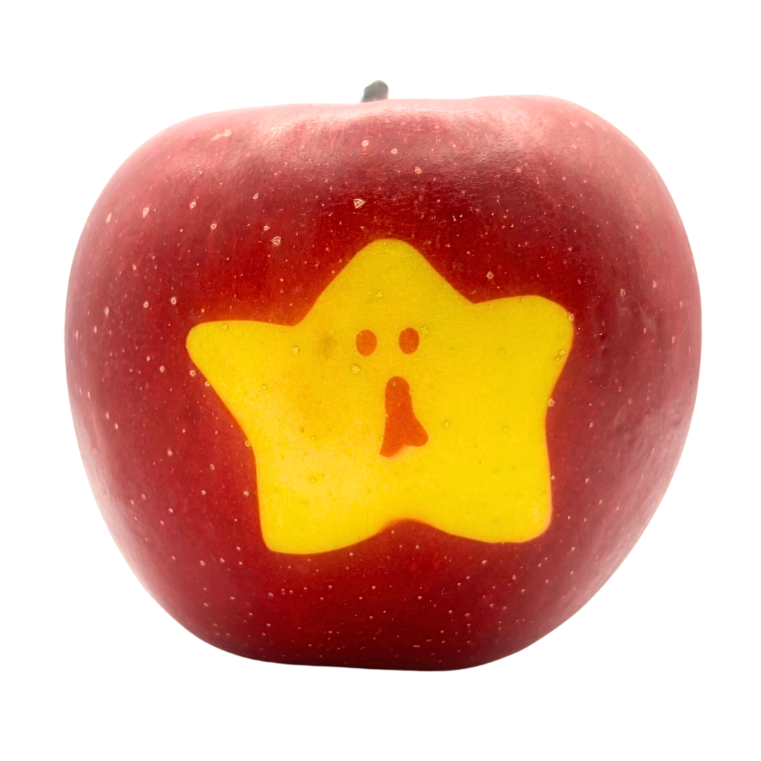 【りんご】 ふじ 2kg 家庭用 送料無料 みつどん絵文字入りりんご1個以上付き 長野県飯綱町産 個数おまかせ みつどんりんご みつどんマルシェ