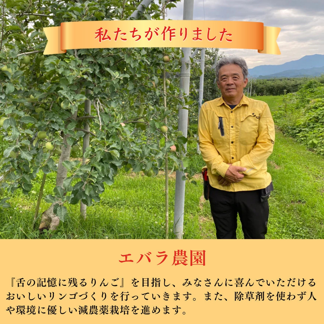【りんご】 エバラ農園 サンふじ 3kg 送料込 11月中旬以降順次発送 長野県 飯綱町 家庭用 訳あり みつどんマルシェ n2-2023fuji-k3