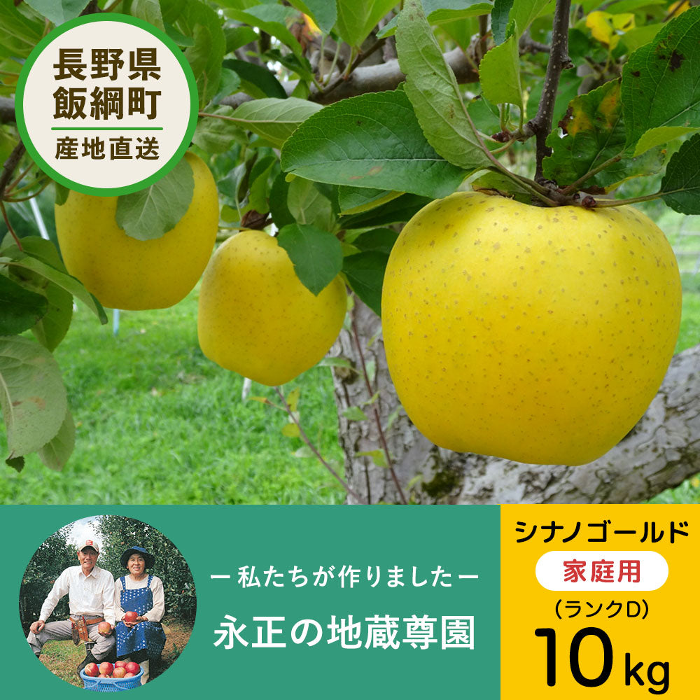 【りんご】 12月上旬以降発送 永正の地蔵尊園 シナノゴールド 10kg D 送料込 長野県 飯綱町 家庭用 訳あり みつどんマルシェ n24-2023gold-k10-28