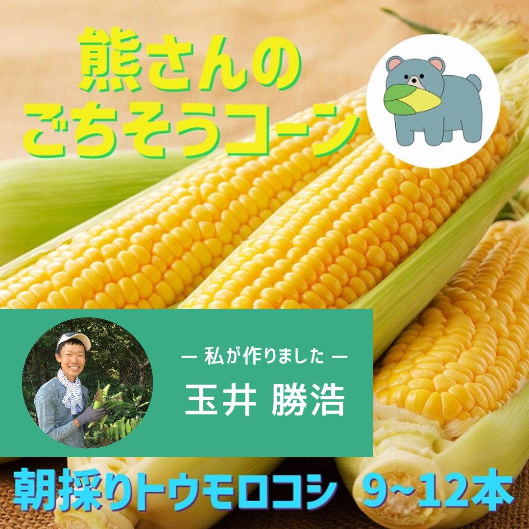【とうもろこし】 朝採り トウモロコシ 熊さんのごちそうコーン 9本 ~ 12本 品種はおまかせ 予約販売 8月下旬以降順次発送 配送先は本州限定 長野県 飯綱町 とうもろこし コーン 野菜 みつどんマルシェ n6-2023corn-k9-12