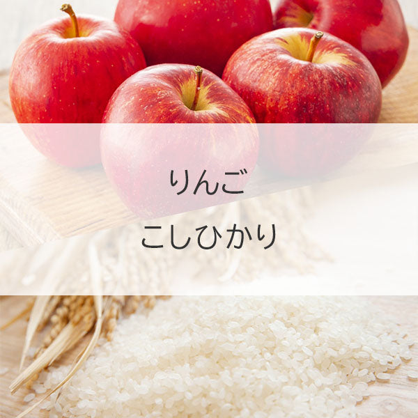 【オンラインバザー】 家庭用りんご(品種おまかせ)+こしひかり セット 送料無料
