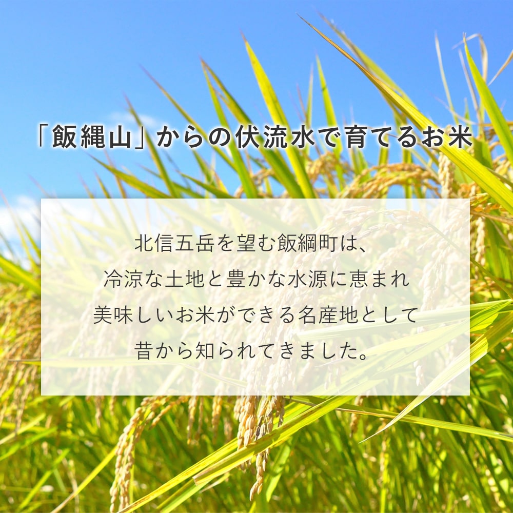 【米】 こしひかり 白米 精米 10kg 長野県 飯綱町 みつどんマルシェ no10-02
