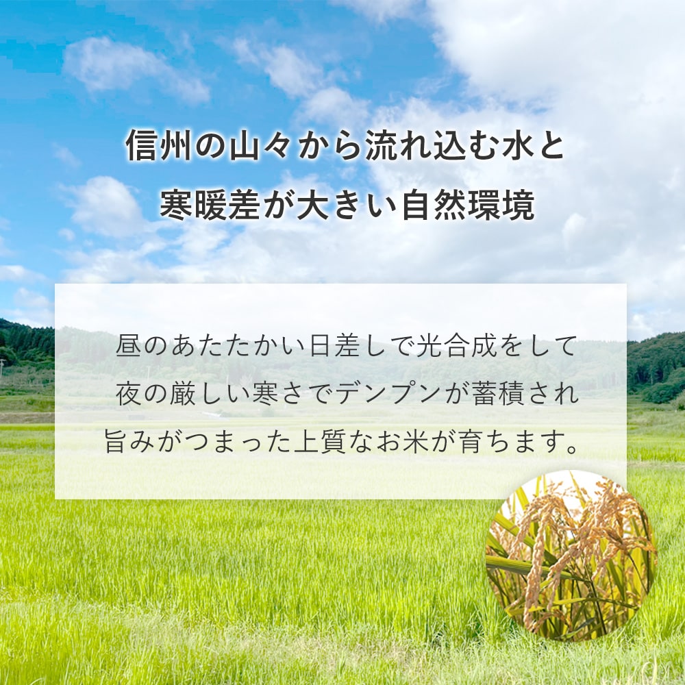【米】 もち米 3kg 長野県 飯綱町 みつどんマルシェ no10-04