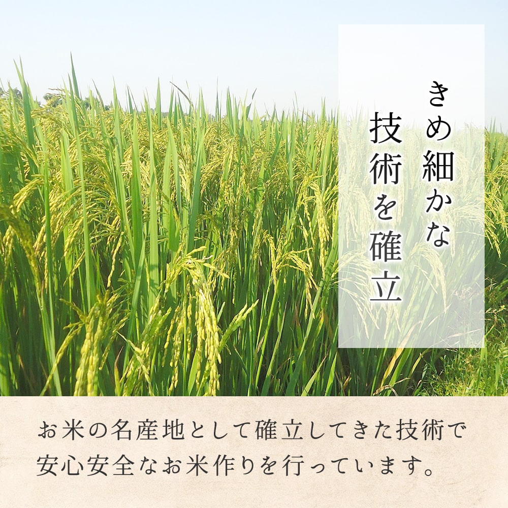 【米】 もち米 3kg 長野県 飯綱町 みつどんマルシェ no10-04