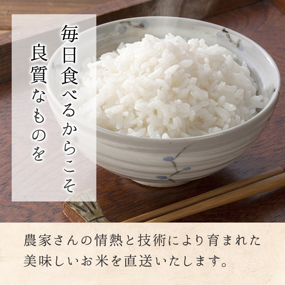 【米】 こしひかり 白米 精米 10kg 長野県 飯綱町 みつどんマルシェ no10-02