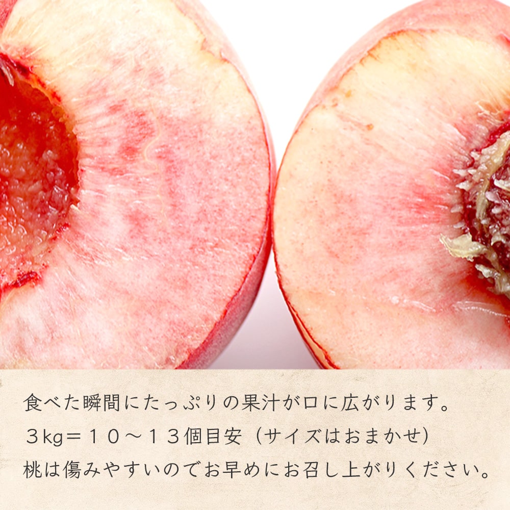 【もも】トオルファーム 桃 川中島白桃 3kg 予約販売 8月下旬以降順次発送 クール便 長野県 飯綱町 贈答用 みつどんマルシェ n1-2023momo-z3