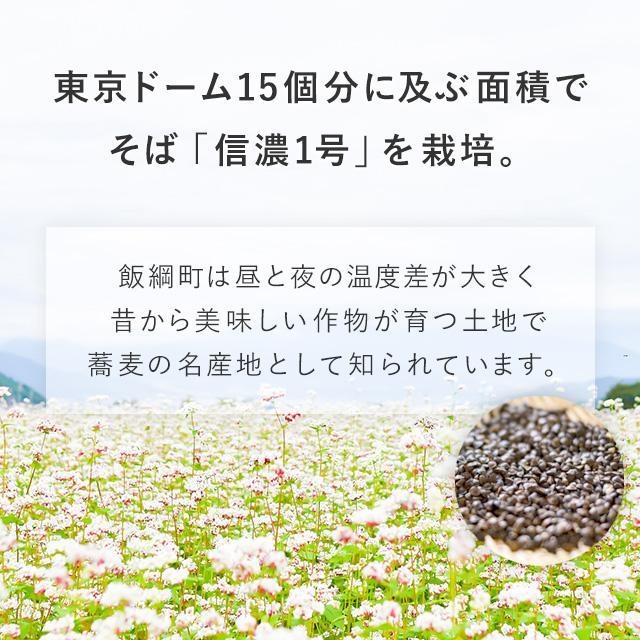 【そば】 半生 年越しそば ( 8人前 ) そばつゆ付 箱入り 12月中旬以降発送 半生そば 年越し そば 長野県飯綱町産 長野県 飯綱町 みつどんマルシェ