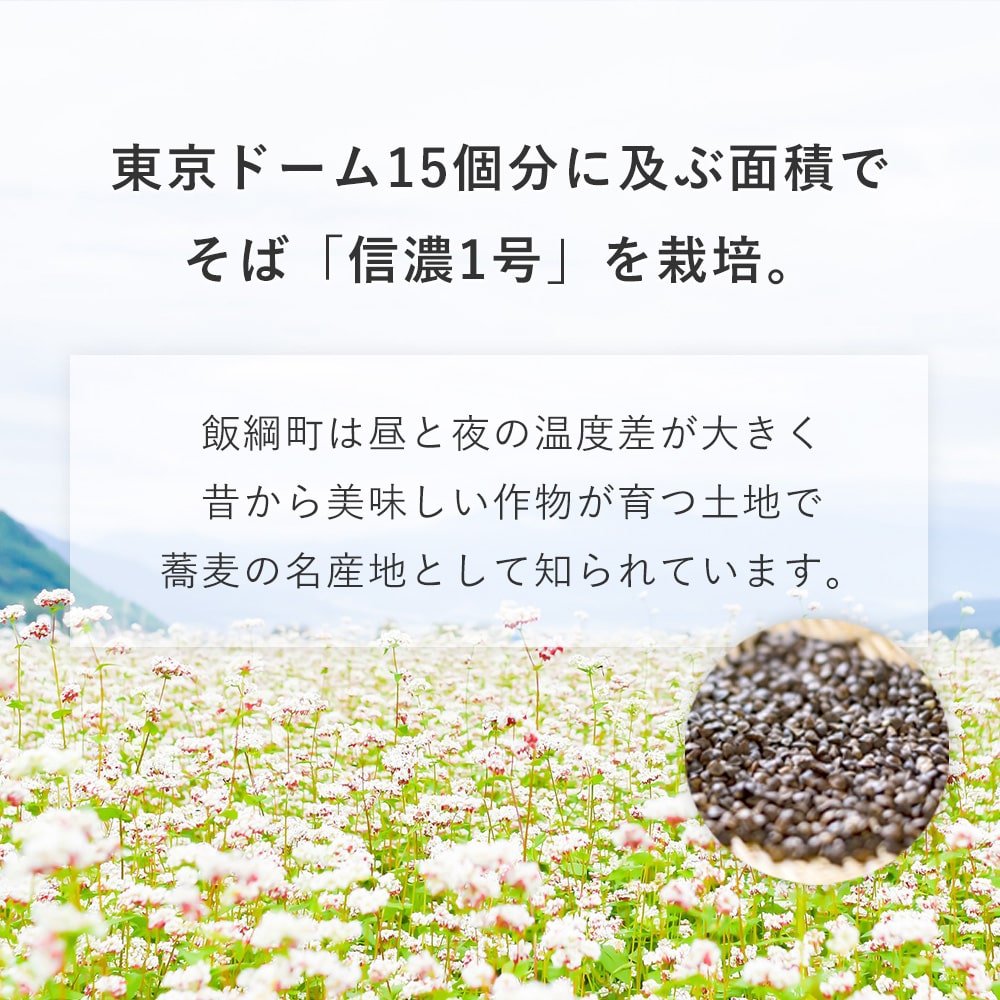 【オンラインバザー】そば焼酎 飯綱の風25度+飯綱の風20度 セット 送料無料