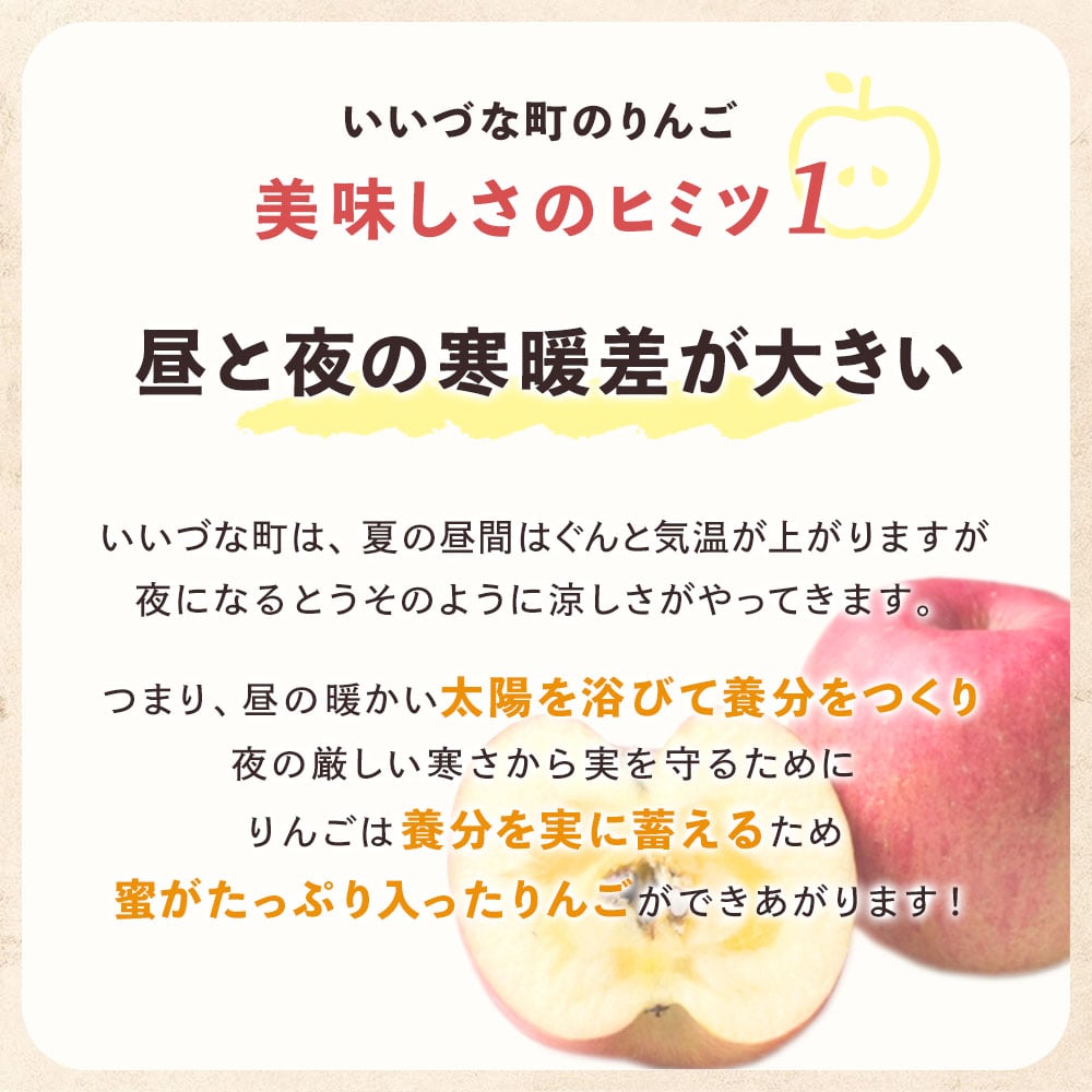 【りんご】 シナノプッチ 5kg 予約販売 9月下旬以降順次発送 送料込 長野県 飯綱町 家庭用 訳あり みつどんマルシェ
