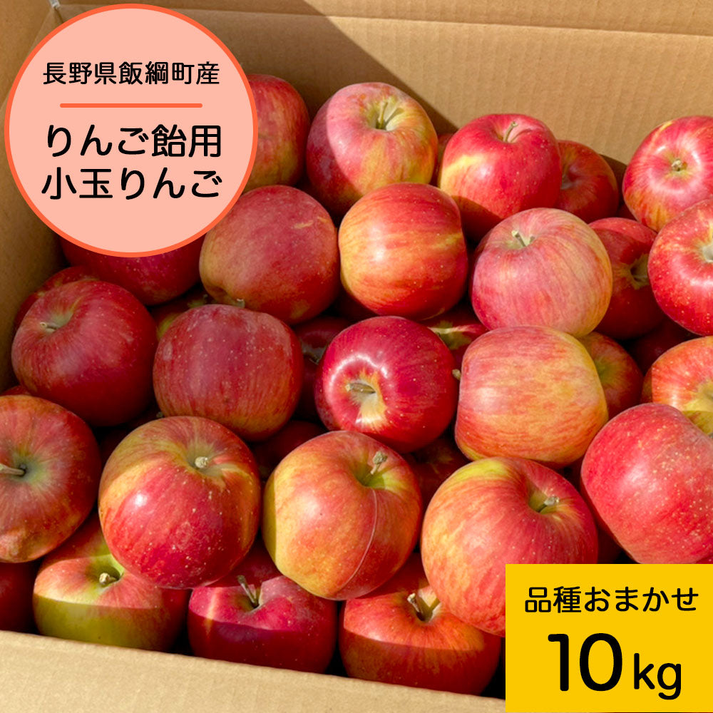 【りんご】 りんご飴用りんご 品種おまかせ 10kg 小玉 りんご 丸かじりもOK!! バラ詰め 送料込 長野県 飯綱町 みつどんマルシェ