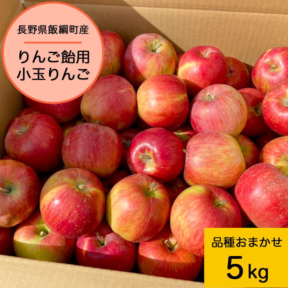 【りんご】 りんご飴用りんご 品種おまかせ 5kg 小玉 りんご 丸かじりもOK!! バラ詰め 送料込 長野県 飯綱町 みつどんマルシェ