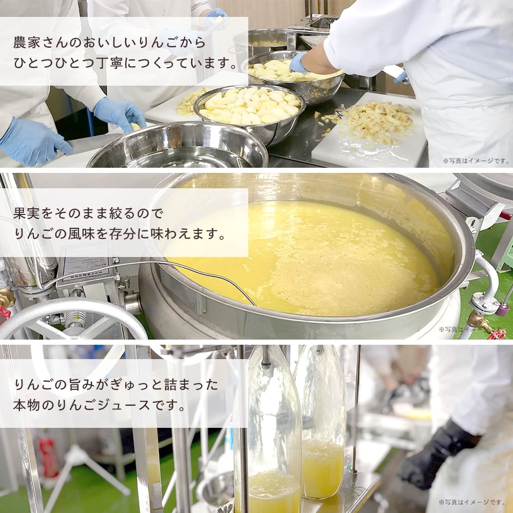 【りんごジュース】 完熟林檎100%ジュース りんごジュース 1L 1本 りんご ジュース 長野県 飯綱町 みつどんマルシェ
