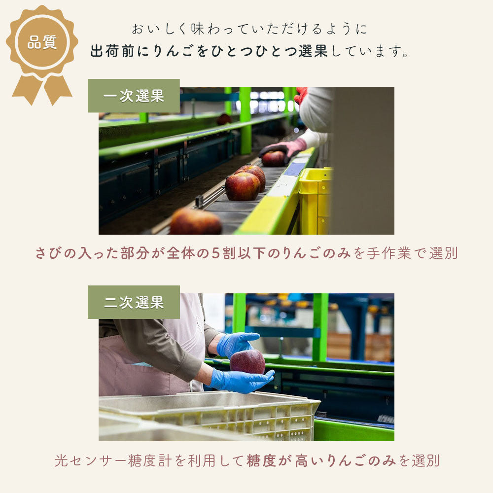 【りんご&りんごレザーのセット】 凍霜害サンふじ りんご 10~16玉程度 約2kg程度 + りんごレザー セット 送料込 みつどんマルシェ