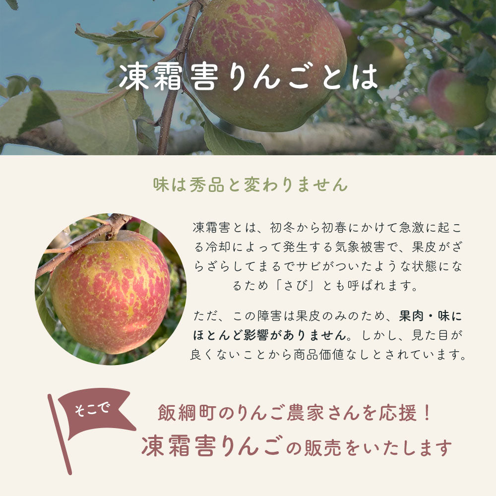 【りんご&りんごレザーのセット】 凍霜害サンふじ りんご 10~16玉程度 約2kg程度 + りんごレザー セット 送料込 みつどんマルシェ