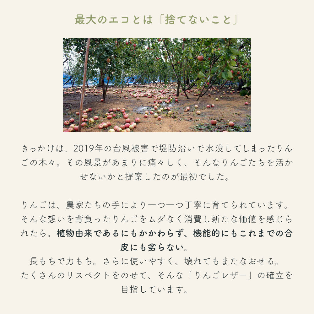 【りんご&りんごレザーのセット】 凍霜害サンふじ りんご 10~16玉程度 約2kg程度 + りんごレザー セット 送料込 みつどんマルシェ