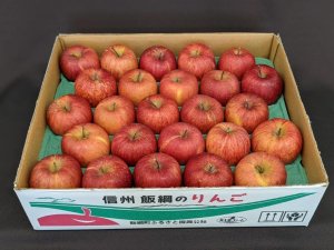 サンふじ りんご 小玉 5kg (23~25玉) 家庭用 長野県飯綱町 訳あり 送料無料