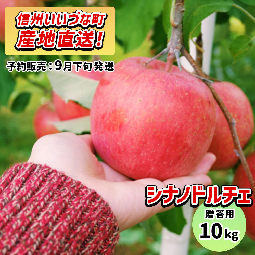 シナノドルチェ10kg予約販売9月下旬発送送料込長野県飯綱町贈答用いいづなファーム