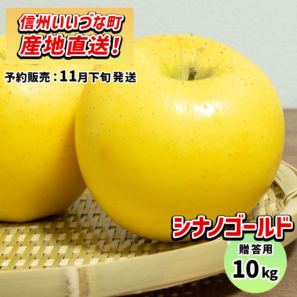 シナノゴールド10kg予約販売11月下旬発送送料込長野県飯綱町贈答用いいづなファーム