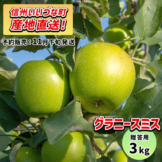 【りんご】 グラニースミス 3kg 予約販売 11月下旬以降順次発送 送料込 長野県 飯綱町 贈答用 みつどんマルシェ