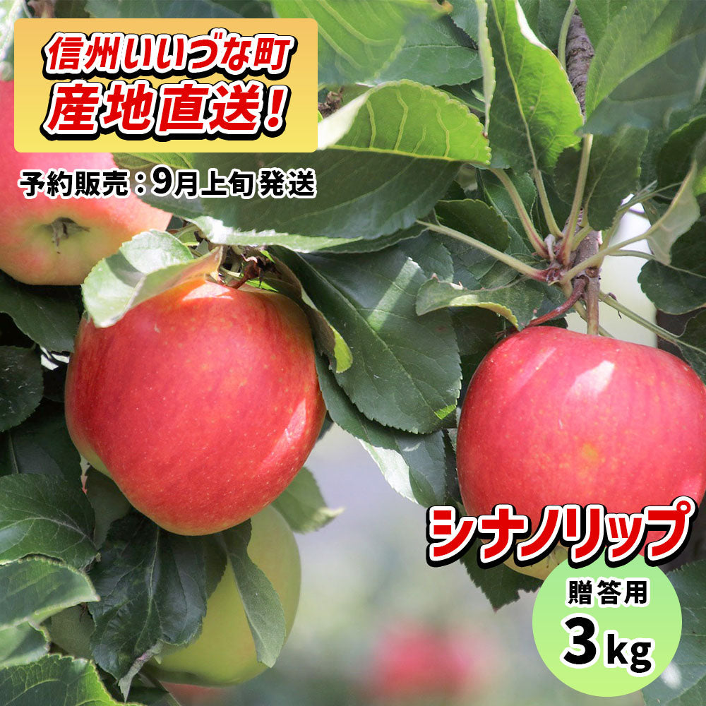 シナノリップ3kg予約販売9月上旬以降発送送料込長野県飯綱町贈答用いいづなファーム