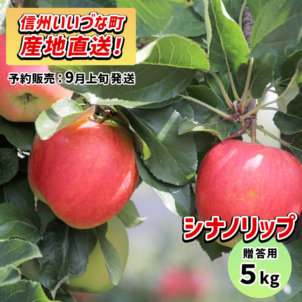 シナノリップ5kg予約販売9月上旬以降発送送料込長野県飯綱町贈答用いいづなファーム