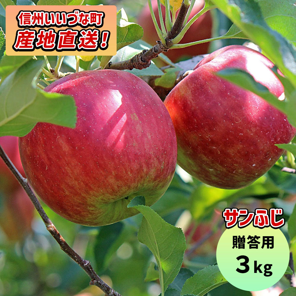 【りんご】 サンふじ 3kg 予約販売 1月上旬以降順次発送 送料込 長野県 飯綱町 贈答用 みつどんマルシェ