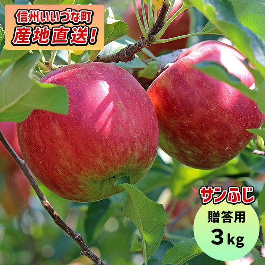 【りんご】 サンふじ 3kg 予約販売 11月下旬以降順次発送 送料込 長野県 飯綱町 贈答用 みつどんマルシェ