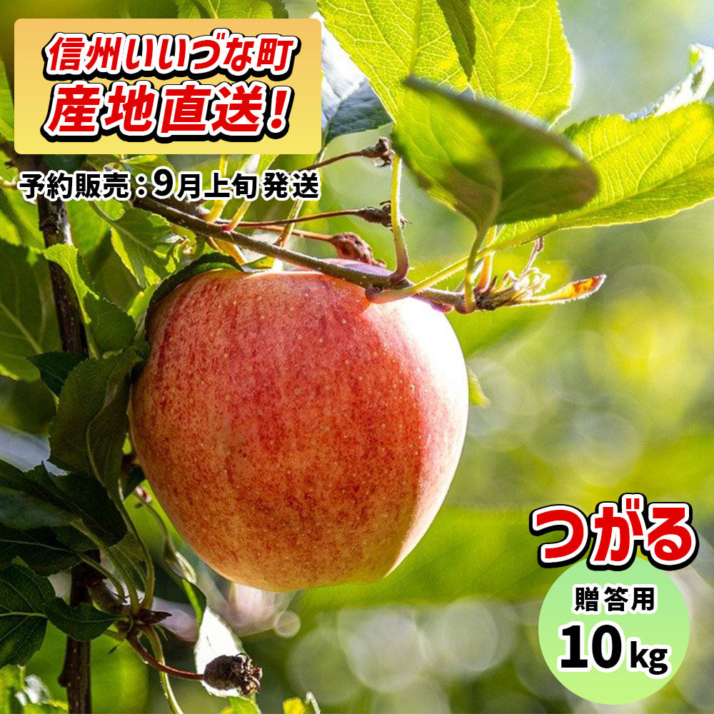 つがる10kg予約販売9月上旬発送送料込長野県飯綱町贈答用いいづなファーム