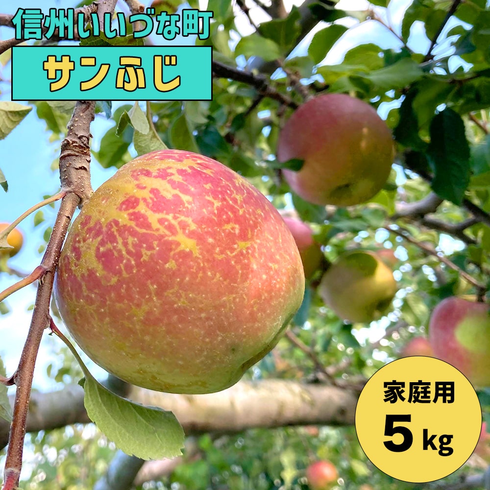 【りんご】 飯綱町産 サンふじ 5kg （玉数指定なし） 家庭用 送料込 長野県 飯綱町 みつどんマルシェ