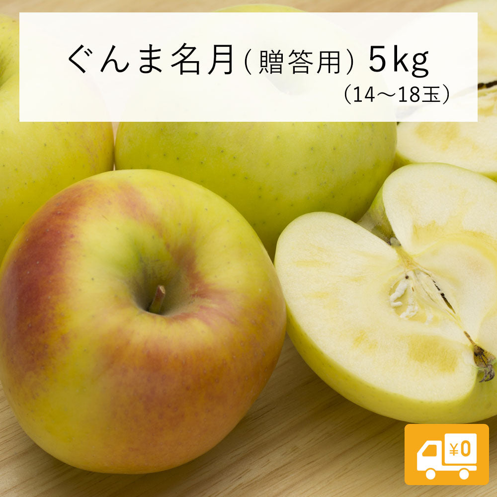 【りんご】 ぐんま名月 5kg (14~18玉) 贈答用 11月上旬以降順次発送 長野県 飯綱町 みつどんマルシェ