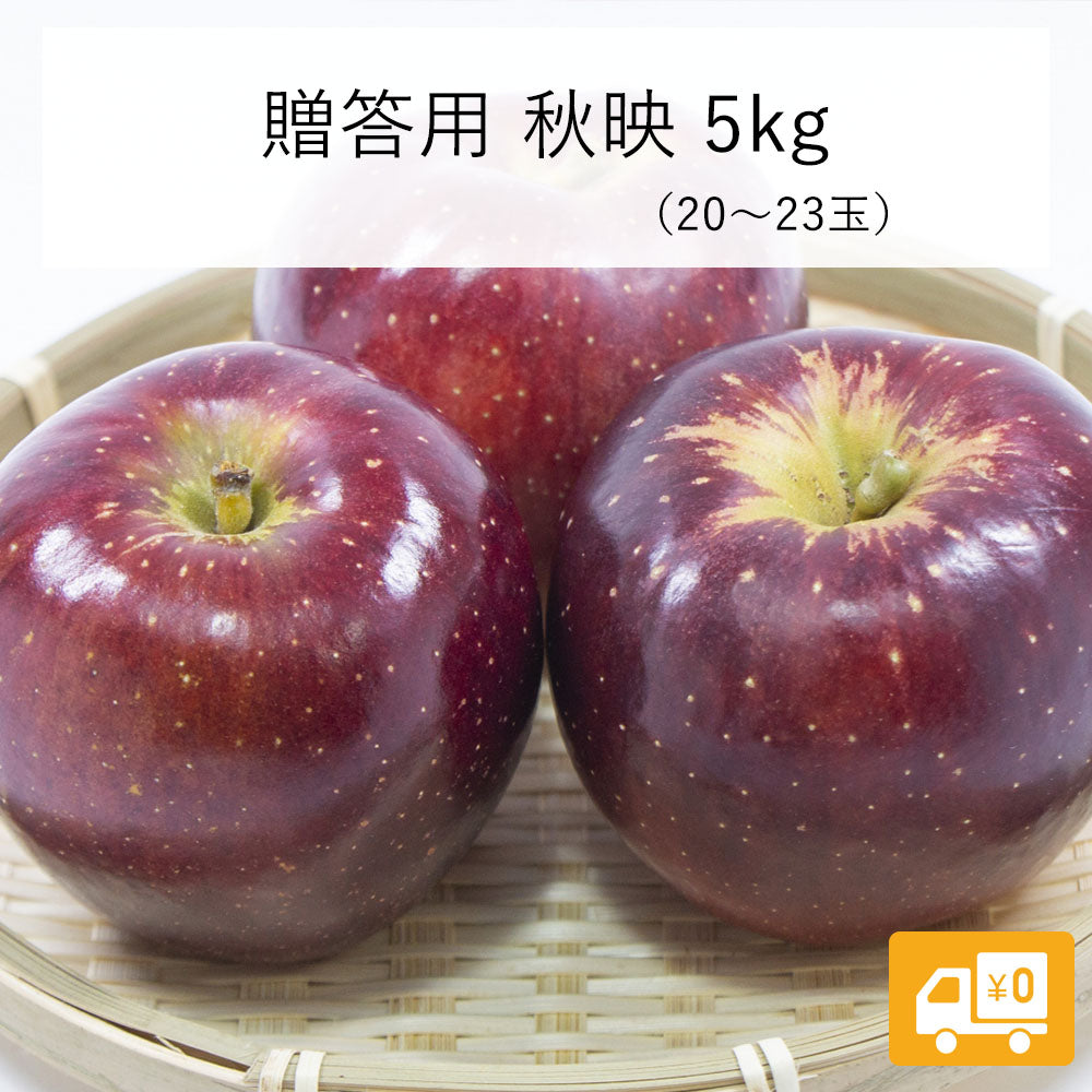 【りんご】 秋映 5kg( 20~23玉 ) 贈答用 送料込 長野県 飯綱町 みつどんマルシェ
