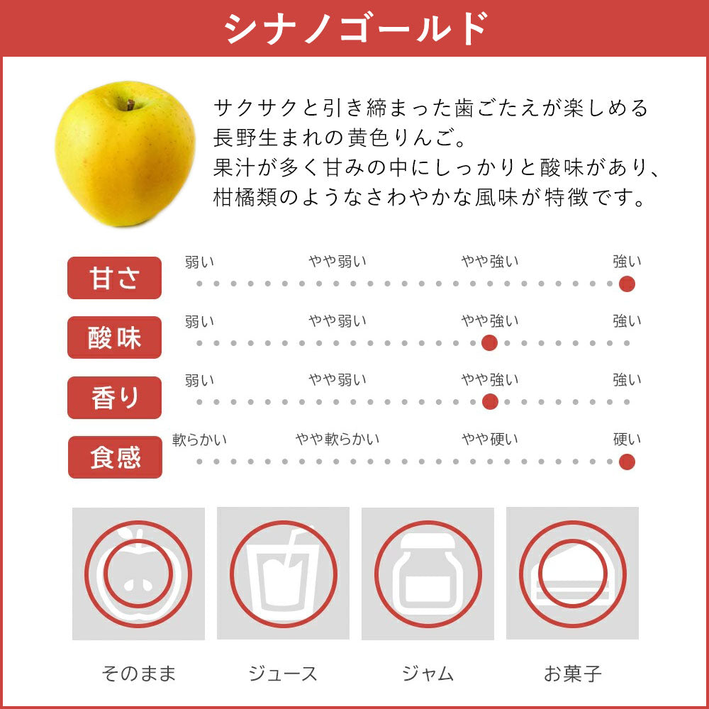 【りんご】 シナノゴールド 3kg 予約販売 11月下旬以降順次発送 送料込 長野県 飯綱町 贈答用 みつどんマルシェ