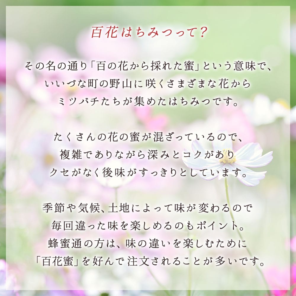 【はちみつ】 百花蜜 300g 百花はちみつ はちみつ 長野県 飯綱町 みつどんマルシェ