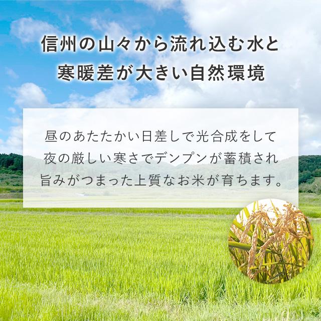 11月以降発送 新米 【米】飯綱町産 あきたこまち 精米 2kg 長野県 飯綱町 みつどんマルシェ