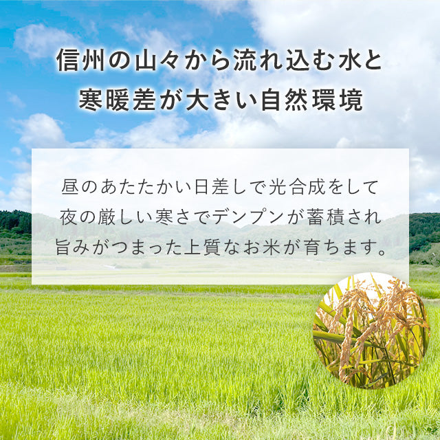 新米 【米】こしひかり 精米 5kg 長野県 飯綱町 みつどんマルシェ