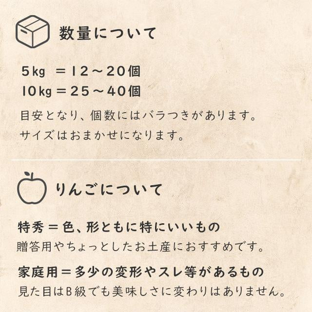 【りんご】 ぐんま名月 10kg 家庭用 送料込 11月上旬以降順次発送 長野県 飯綱町 みつどんマルシェ